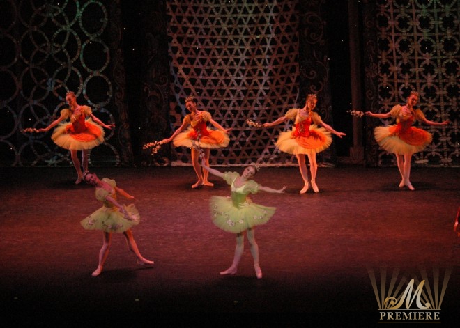 Kremlin Ballet (8)