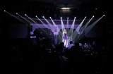 Audiovisual, lighting and special effects (3)