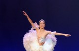 Russian Ballet in Doha (2)