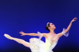 Russian Ballet in Doha (26)