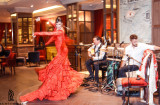 Flamenco night (8)