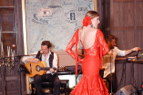 Flamenco night (9)